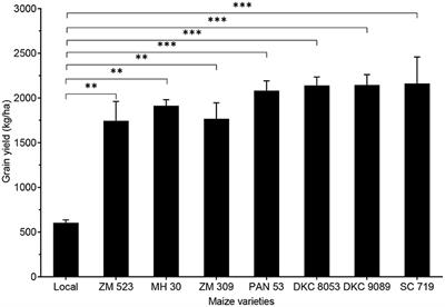 Conservation Agriculture Affects Grain and Nutrient Yields of Maize (Zea Mays L.) and Can Impact Food and Nutrition Security in Sub-Saharan Africa